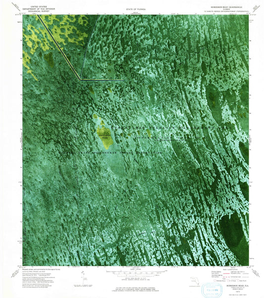 Classic USGS Horseshoe Head Florida 7.5'x7.5' Topo Map Image