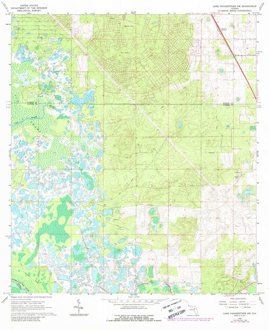 Classic USGS Lake Panasoffkee NW Florida 7.5'x7.5' Topo Map Image