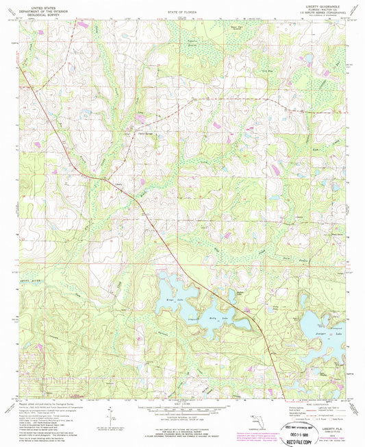 Classic USGS Liberty Florida 7.5'x7.5' Topo Map Image