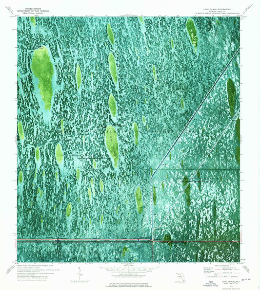 Classic USGS Long Island Florida 7.5'x7.5' Topo Map Image