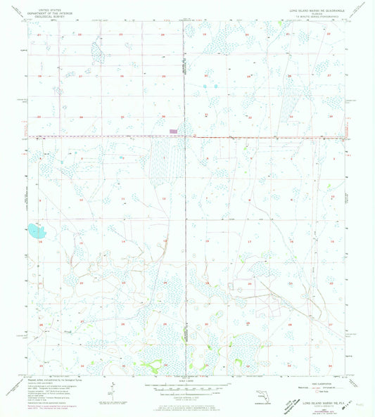 Classic USGS Long Island Marsh NE Florida 7.5'x7.5' Topo Map Image