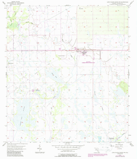 Classic USGS Long Island Marsh NW Florida 7.5'x7.5' Topo Map Image