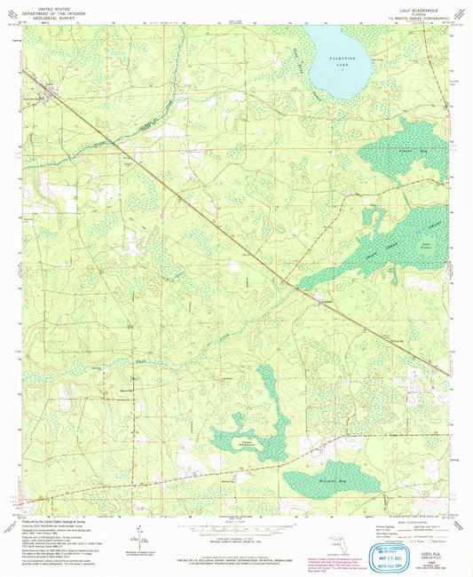 Classic USGS Lulu Florida 7.5'x7.5' Topo Map Image