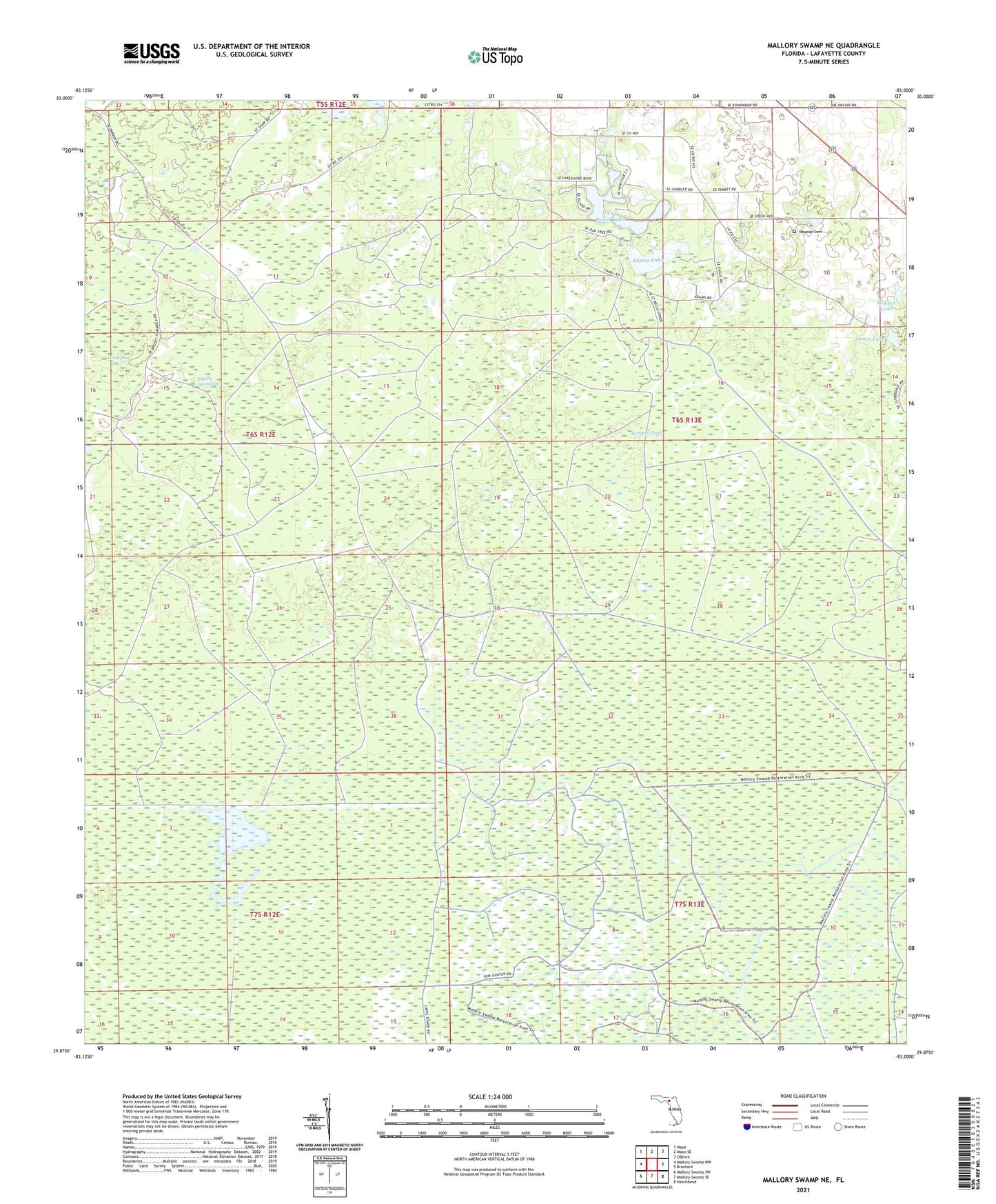 Mallory Swamp NE Florida US Topo Map Image