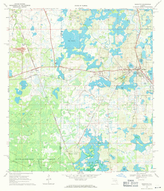 Classic USGS Mascotte Florida 7.5'x7.5' Topo Map Image
