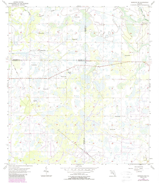 Classic USGS Murdock NE Florida 7.5'x7.5' Topo Map Image