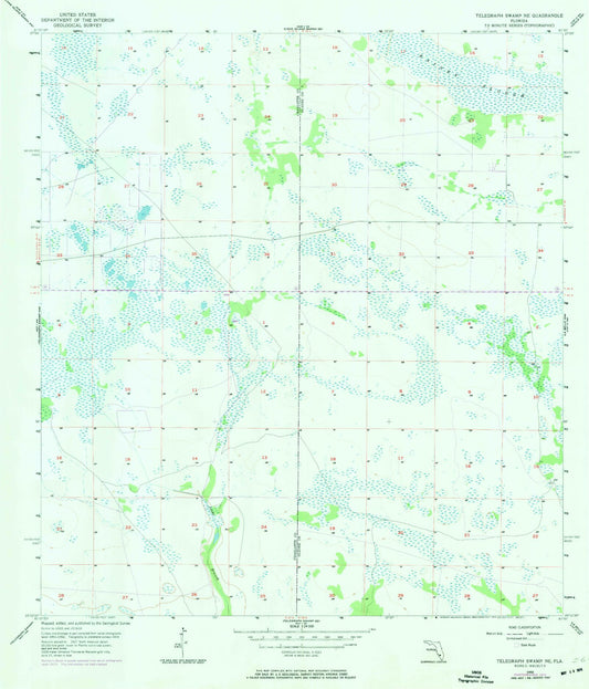 Classic USGS Telegraph Swamp NE Florida 7.5'x7.5' Topo Map Image