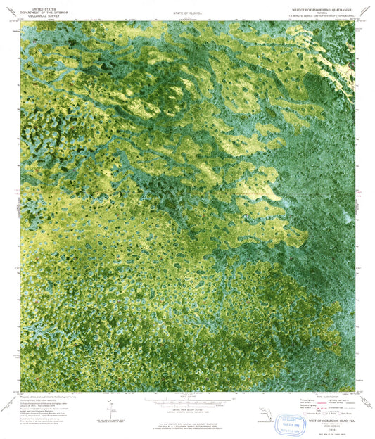 Classic USGS West of Horseshoe Head Florida 7.5'x7.5' Topo Map Image