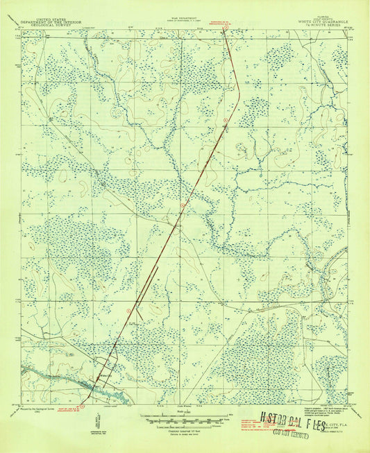 Classic USGS White City Florida 7.5'x7.5' Topo Map Image