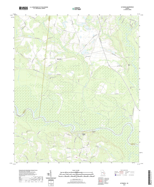 Altamaha Georgia US Topo Map Image