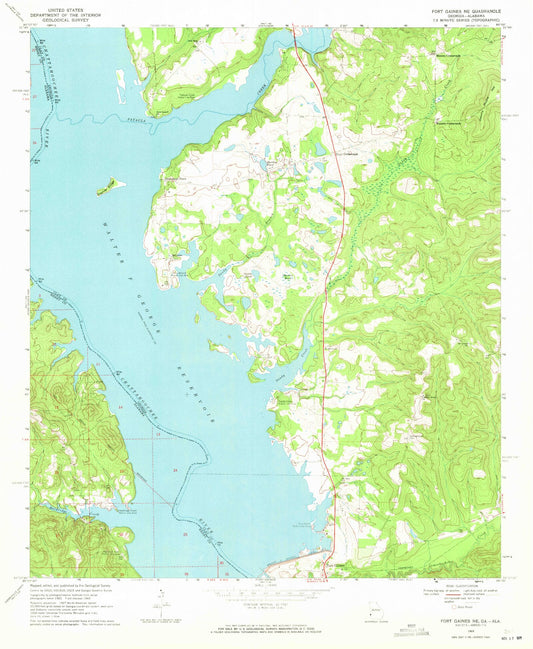 Classic USGS Fort Gaines NE Georgia 7.5'x7.5' Topo Map Image