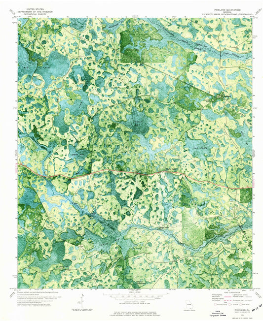 Classic USGS Pineland Georgia 7.5'x7.5' Topo Map Image