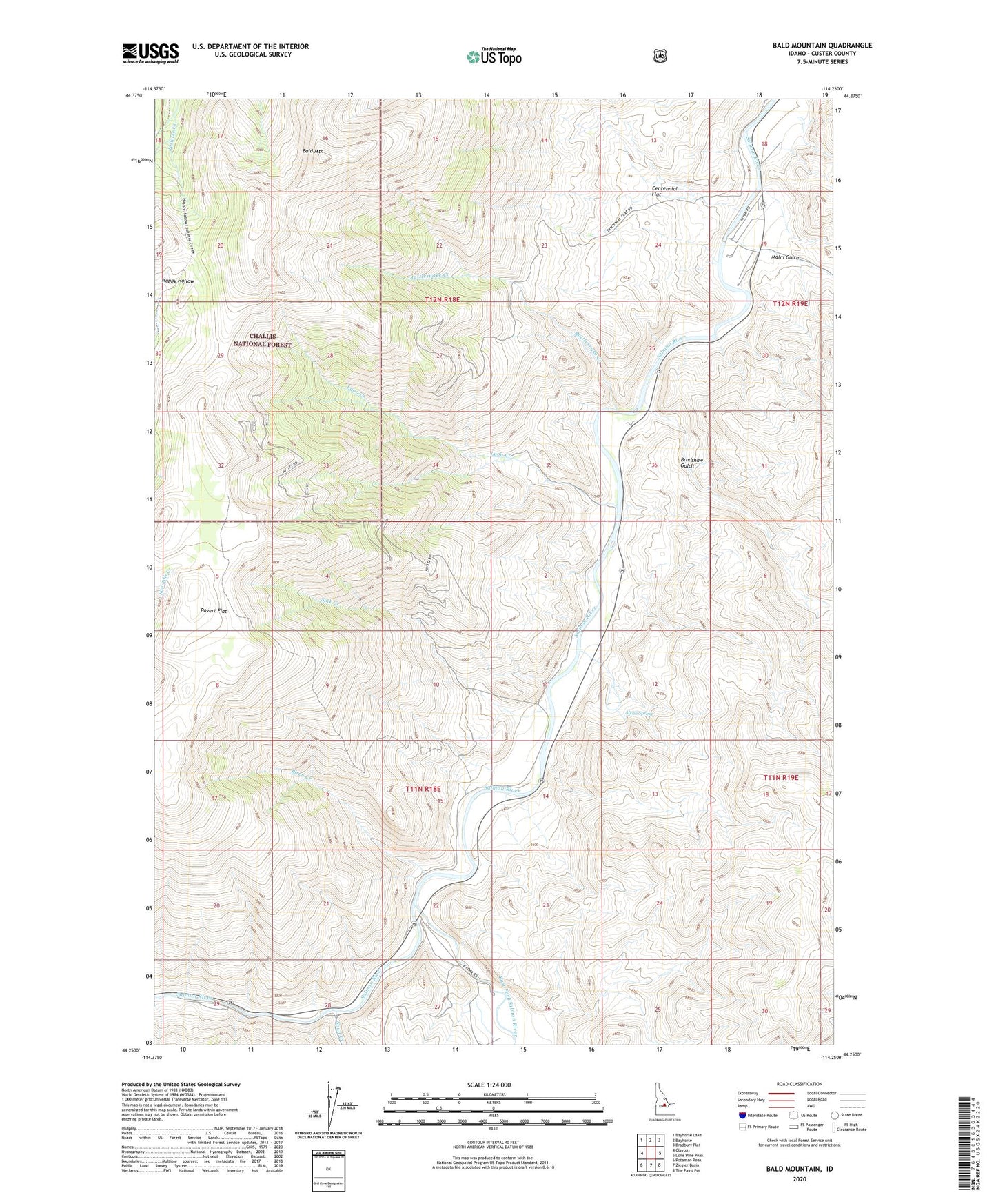 Bald Mountain Idaho US Topo Map Image