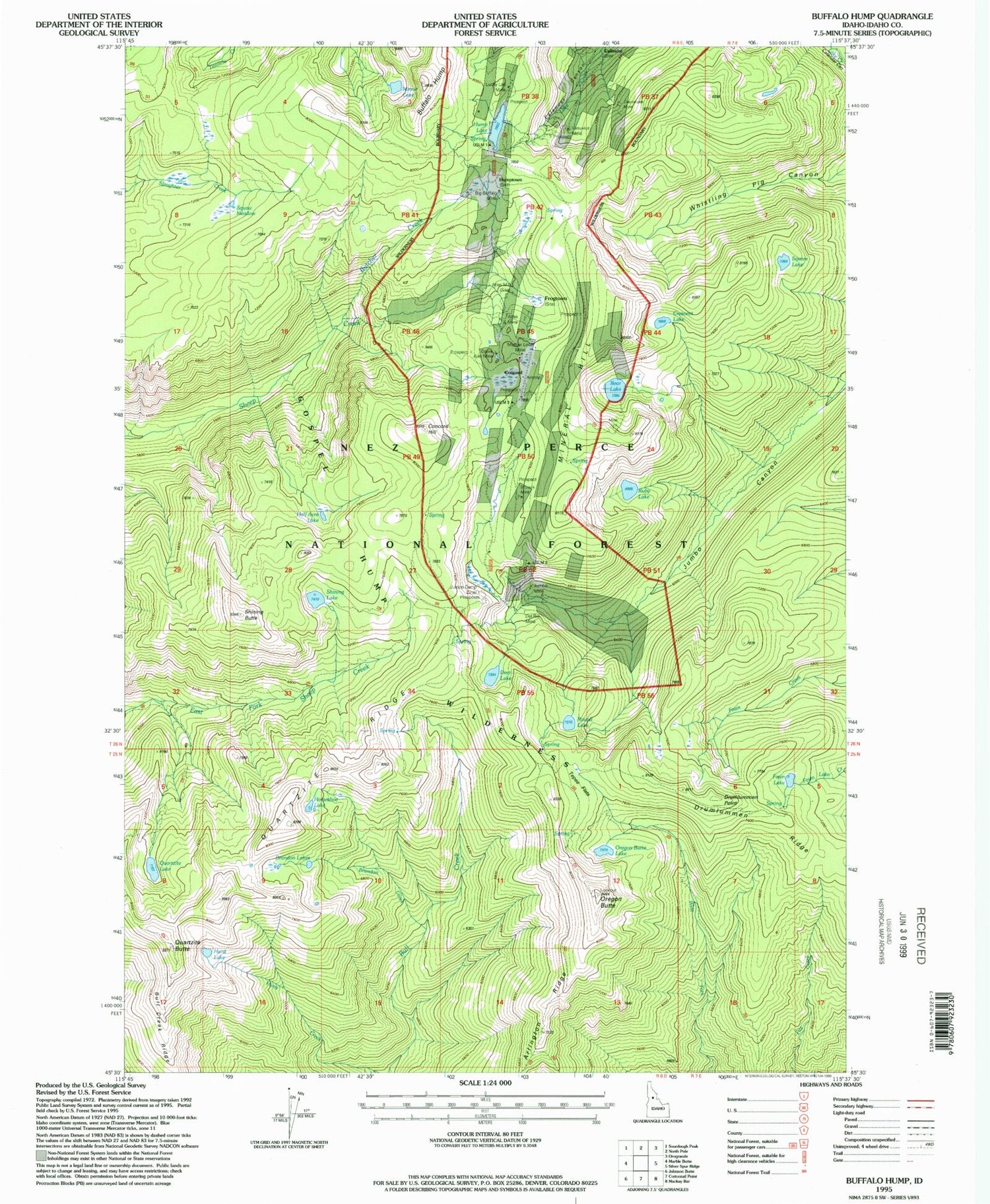 Classic USGS Buffalo Hump Idaho 7.5'x7.5' Topo Map Image