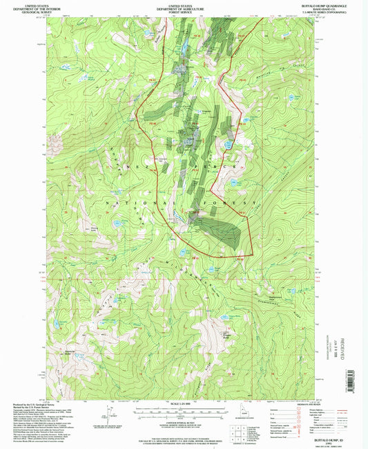 Classic USGS Buffalo Hump Idaho 7.5'x7.5' Topo Map Image