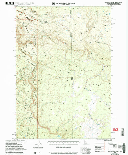 Classic USGS Buffalo Lake NE Idaho 7.5'x7.5' Topo Map Image