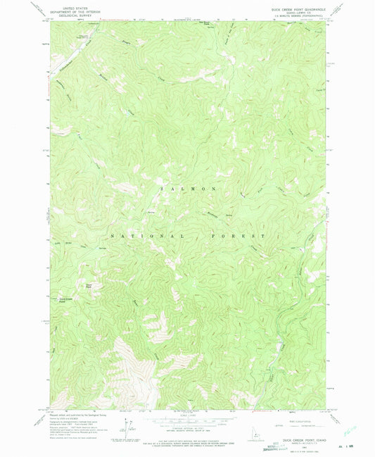 Classic USGS Duck Creek Point Idaho 7.5'x7.5' Topo Map Image