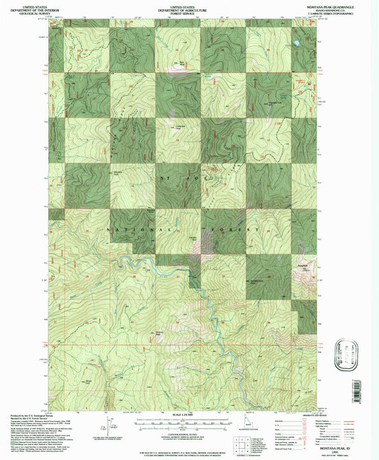 Classic USGS Montana Peak Idaho 7.5'x7.5' Topo Map Image