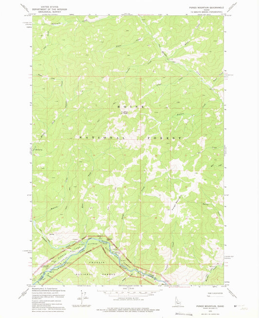 Classic USGS Pungo Mountain Idaho 7.5'x7.5' Topo Map Image