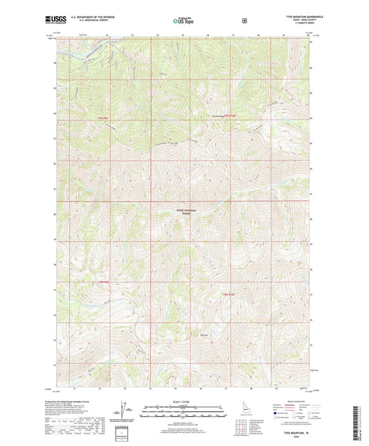 Tyee Mountain Idaho US Topo Map Image