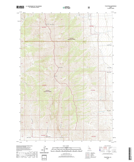 Tyler Peak Idaho US Topo Map Image
