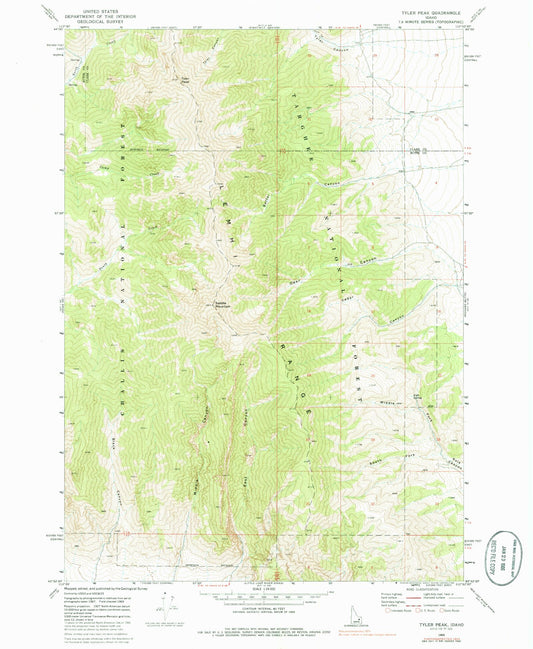Classic USGS Tyler Peak Idaho 7.5'x7.5' Topo Map Image