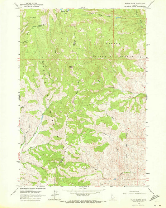Classic USGS Wards Butte Idaho 7.5'x7.5' Topo Map Image