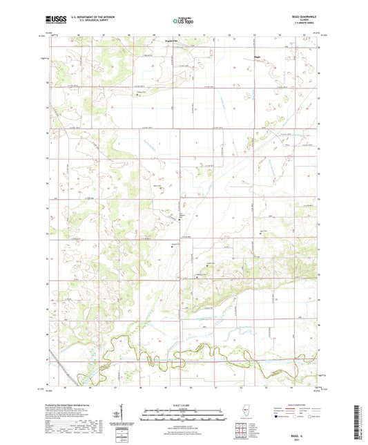 Biggs Illinois US Topo Map Image