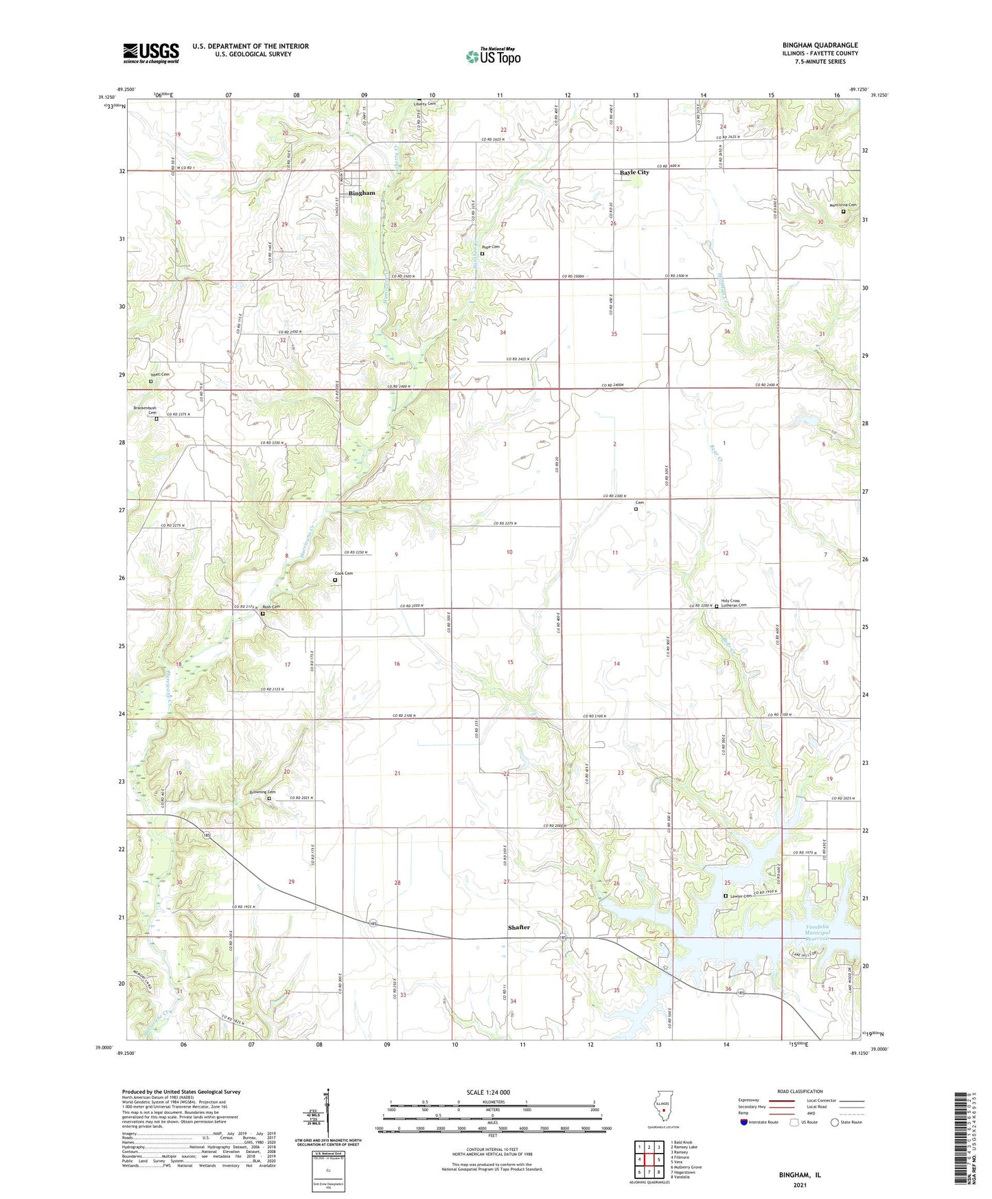 Bingham Illinois US Topo Map Image