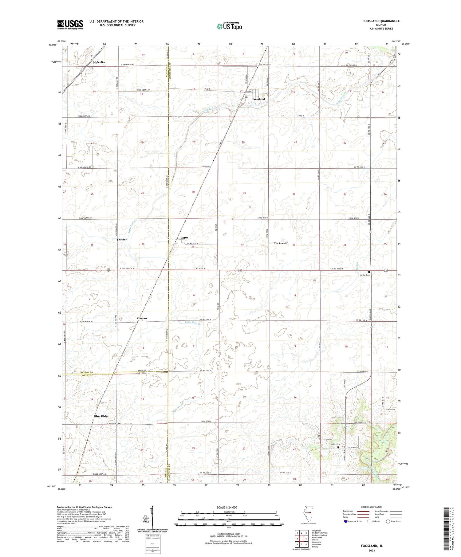 Foosland Illinois US Topo Map Image