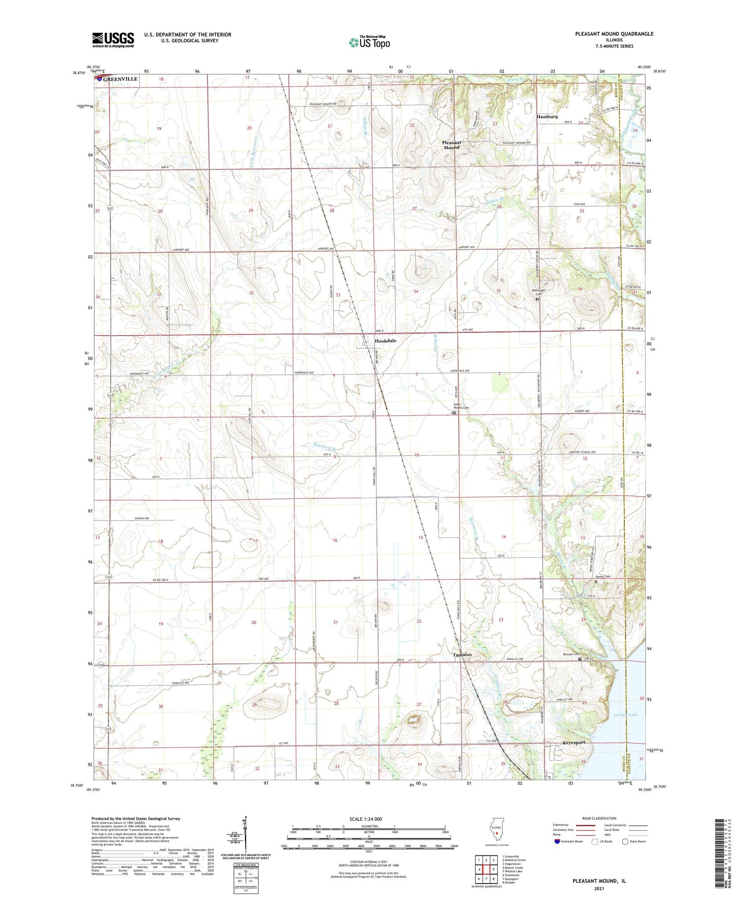 Pleasant Mound Illinois US Topo Map Image