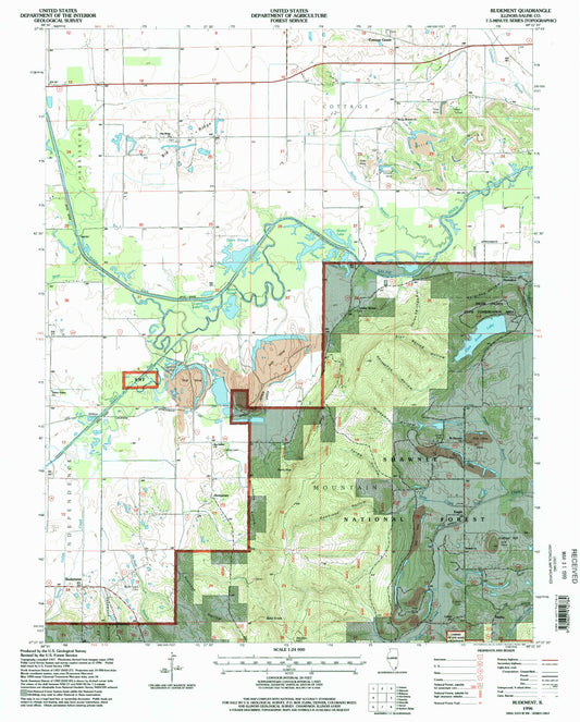 Classic USGS Rudement Illinois 7.5'x7.5' Topo Map Image