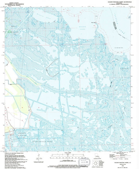 Classic USGS Golden Meadow Farms Louisiana 7.5'x7.5' Topo Map Image