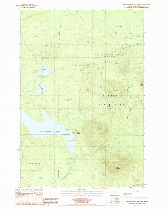 Classic USGS Nesowadnehunk Lake Maine 7.5'x7.5' Topo Map Image