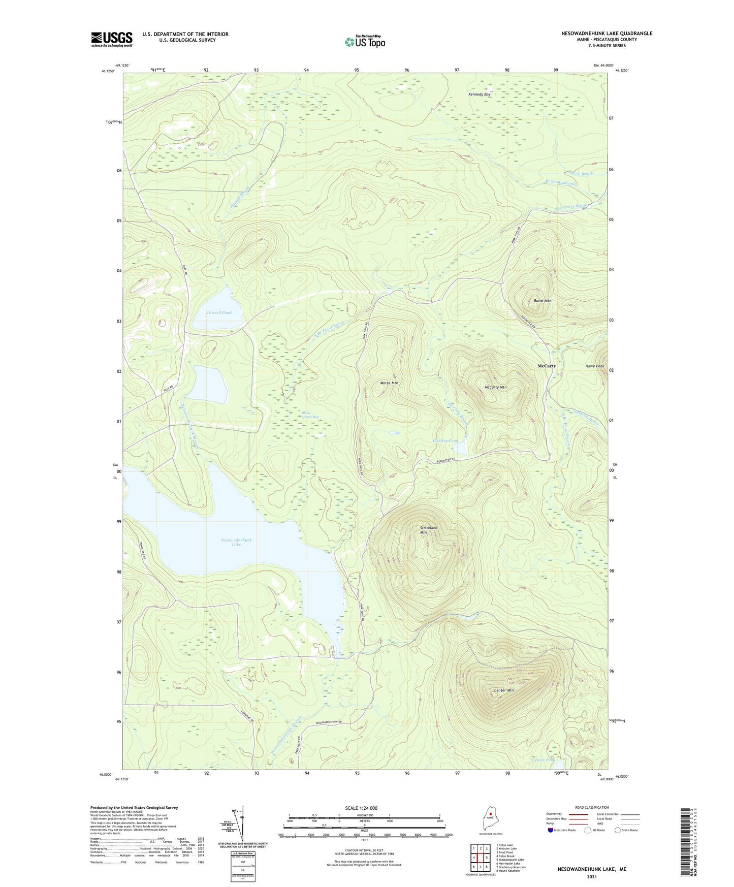 Nesowadnehunk Lake Maine US Topo Map Image