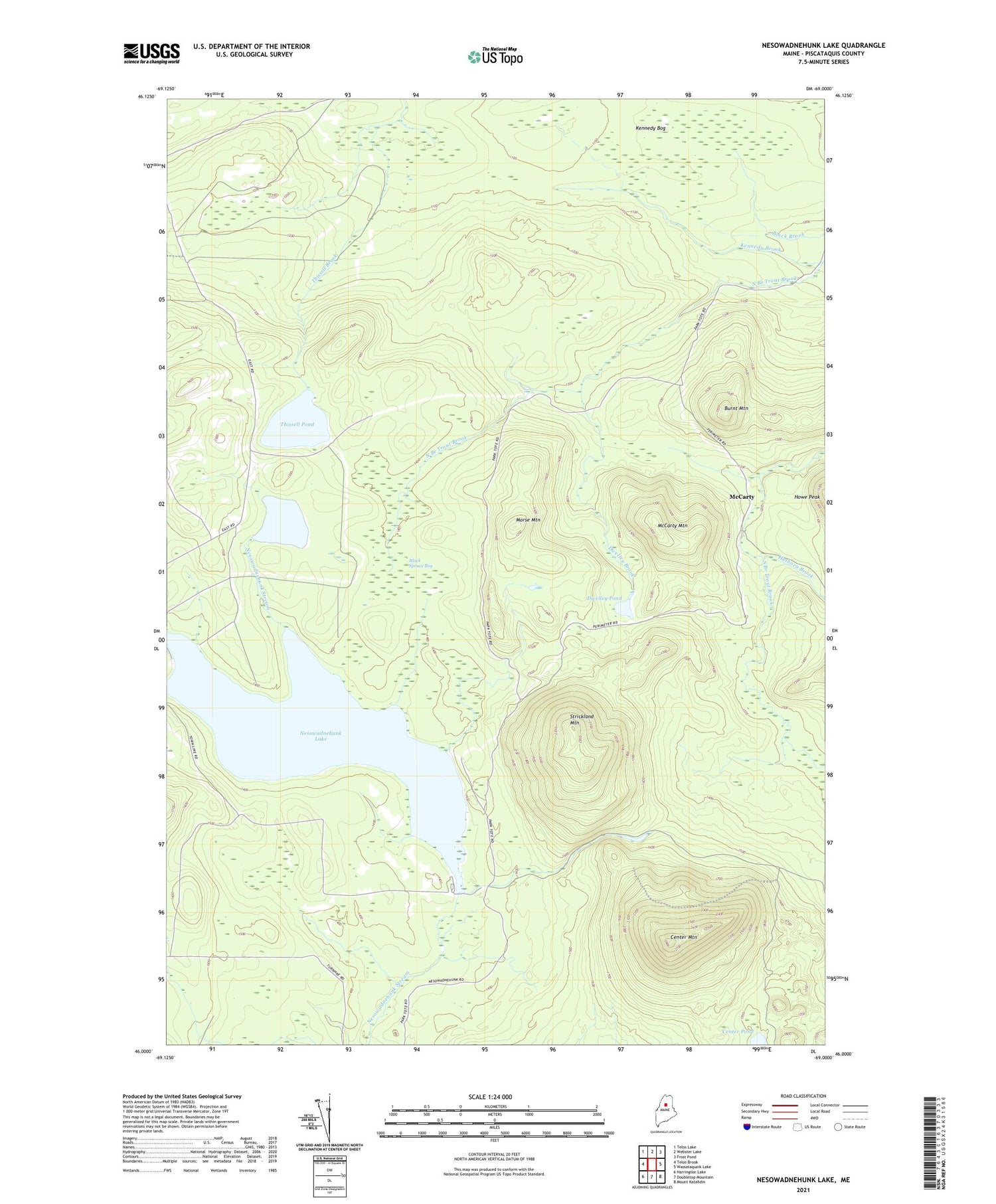 Nesowadnehunk Lake Maine US Topo Map Image