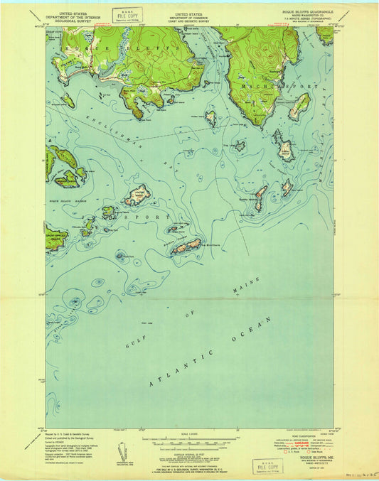 Classic USGS Roque Bluffs Maine 7.5'x7.5' Topo Map Image