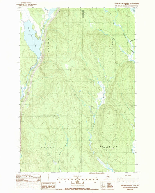 Classic USGS Salmon Stream Lake Maine 7.5'x7.5' Topo Map Image