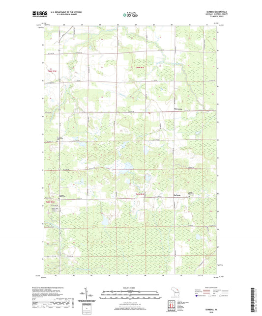 Barbeau Michigan US Topo Map Image