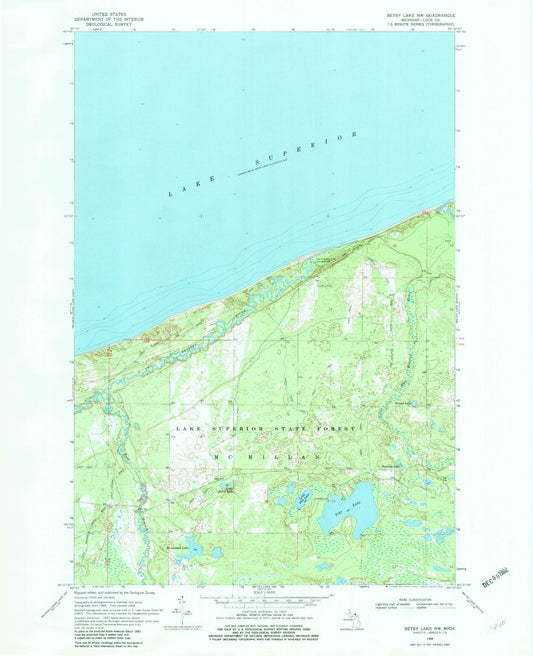 Classic USGS Betsy Lake NW Michigan 7.5'x7.5' Topo Map Image