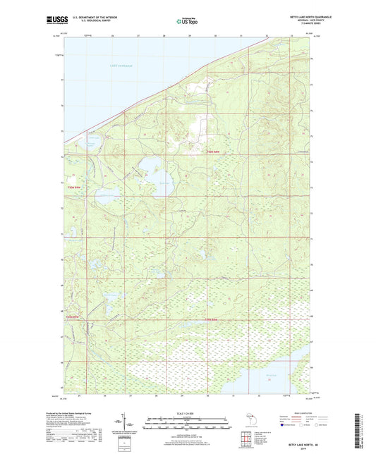 Betsy Lake North Michigan US Topo Map Image