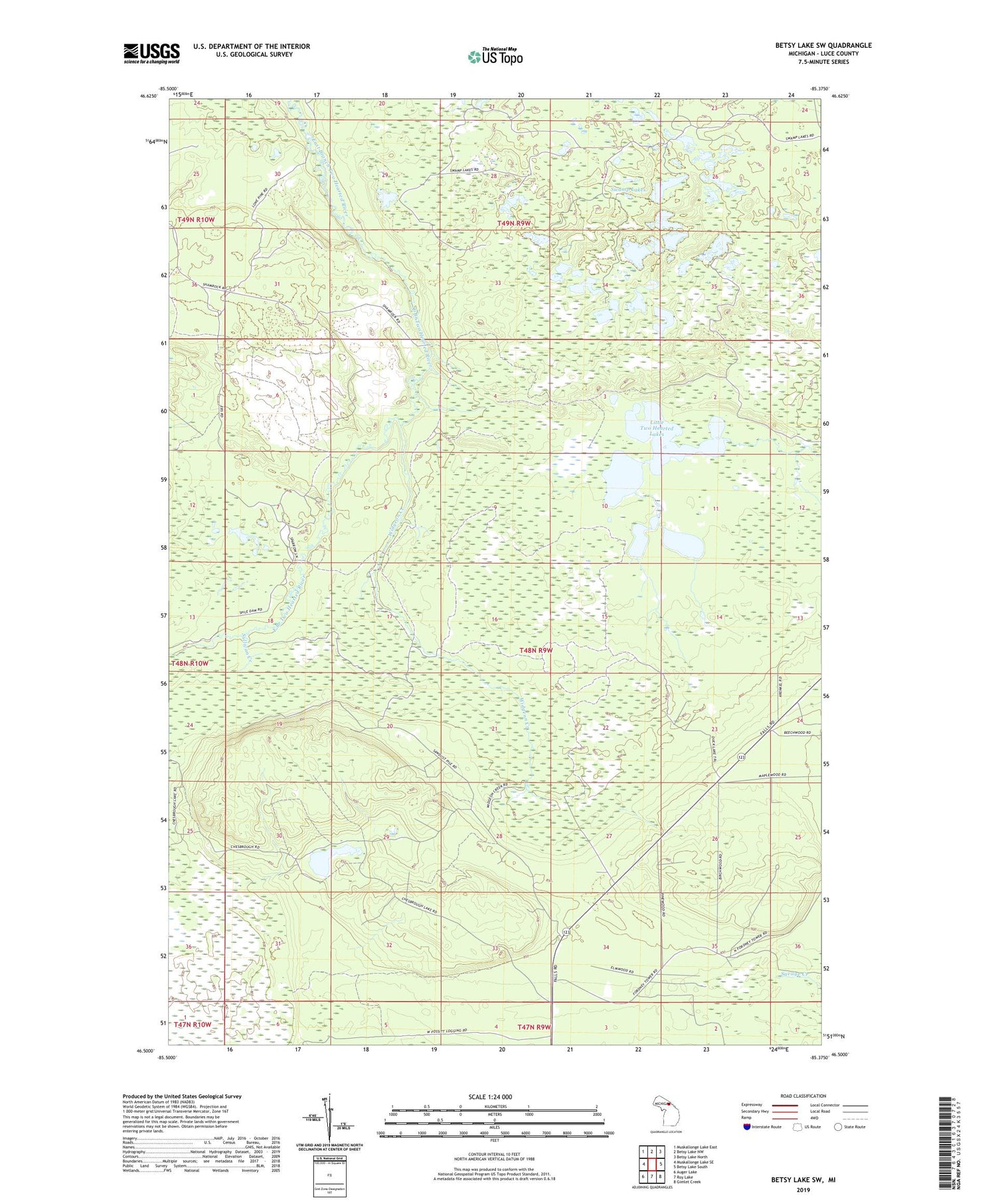 Betsy Lake SW Michigan US Topo Map Image