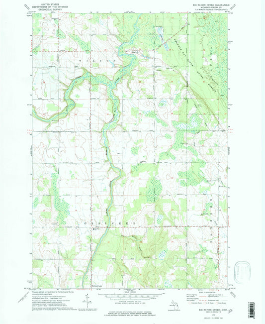 Classic USGS Big Ravine Creek Michigan 7.5'x7.5' Topo Map Image