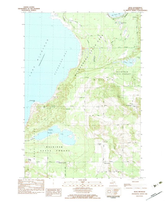 Classic USGS Bliss Michigan 7.5'x7.5' Topo Map Image