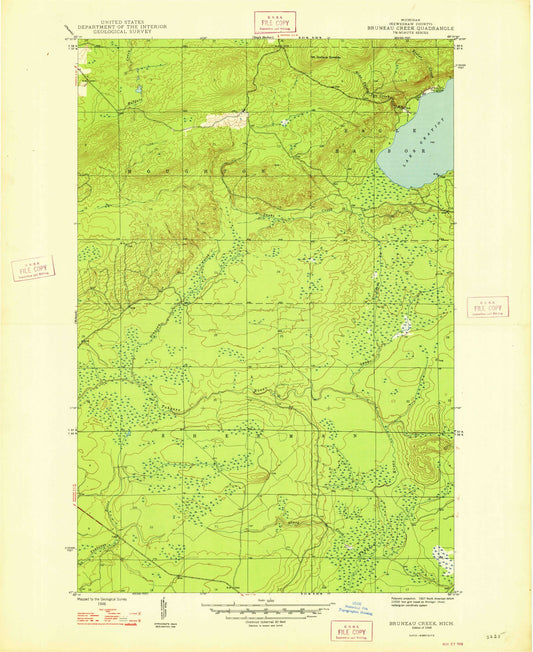 Classic USGS Bruneau Creek Michigan 7.5'x7.5' Topo Map Image