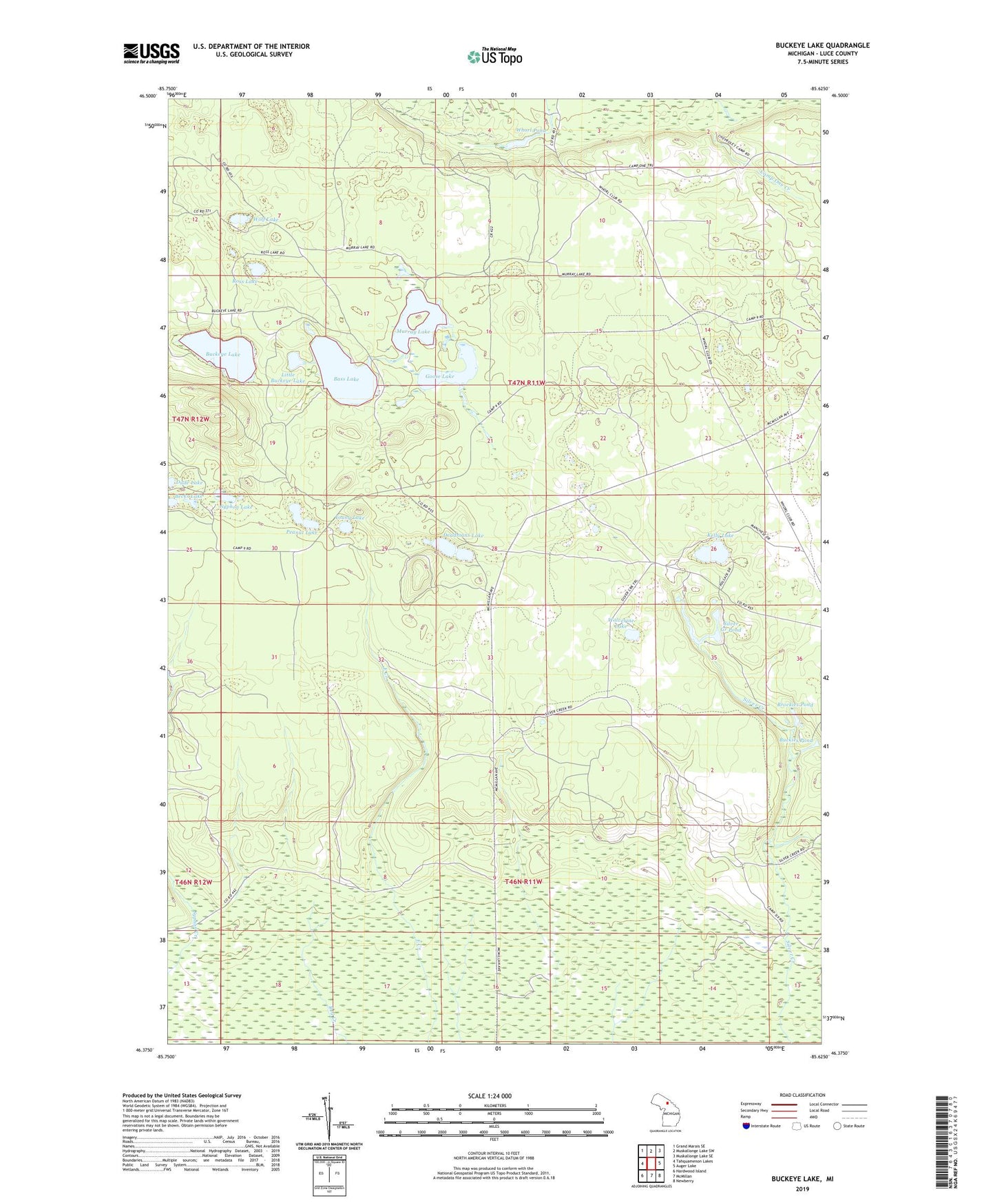Buckeye Lake Michigan US Topo Map Image