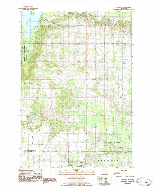 Classic USGS Buckley Michigan 7.5'x7.5' Topo Map Image