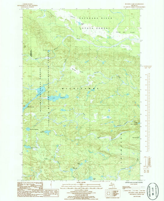 USGS Classic Bulldog Lake Michigan 7.5'x7.5' Topo Map Image