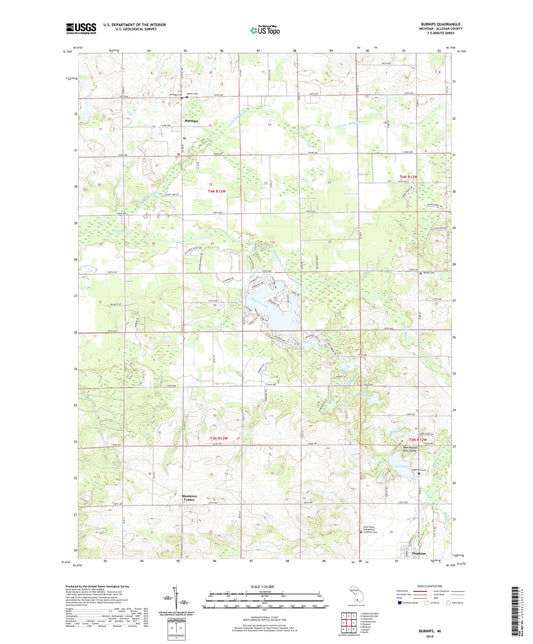 Burnips Michigan US Topo Map Image