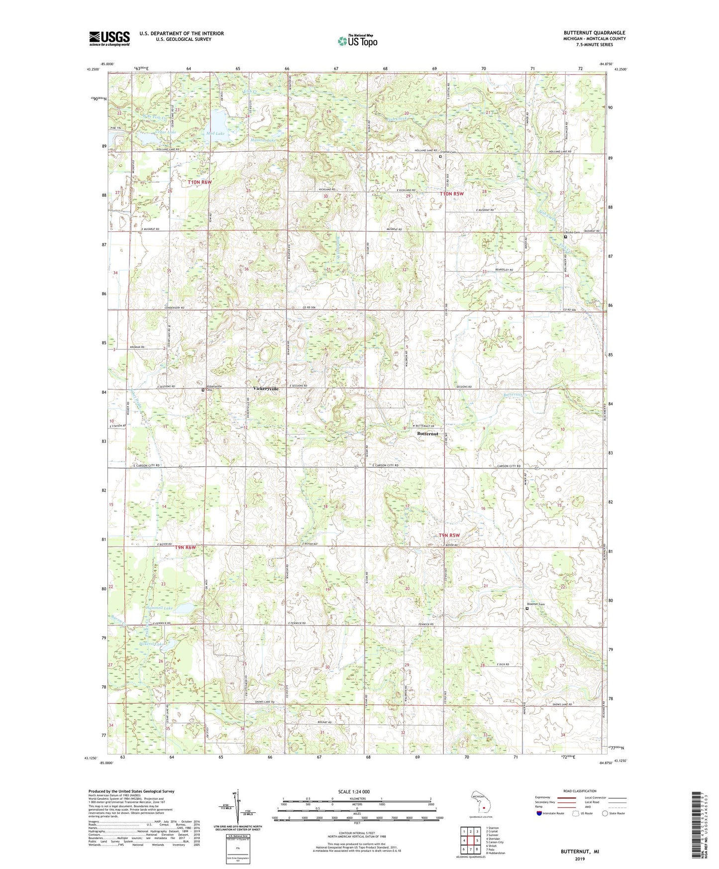 Butternut Michigan US Topo Map Image